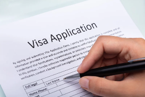 Visa Processing